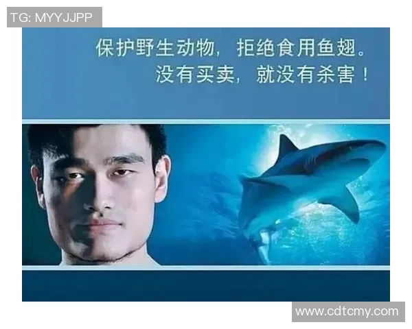 青色之旅姚明：从篮球巨星到环保先锋的心路历程与使命探索