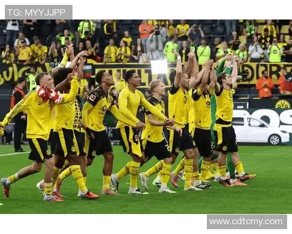 意甲精彩对决多特蒙德逆转里昂神扑时刻点燃全场激情